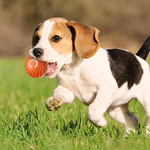 Smart Ball