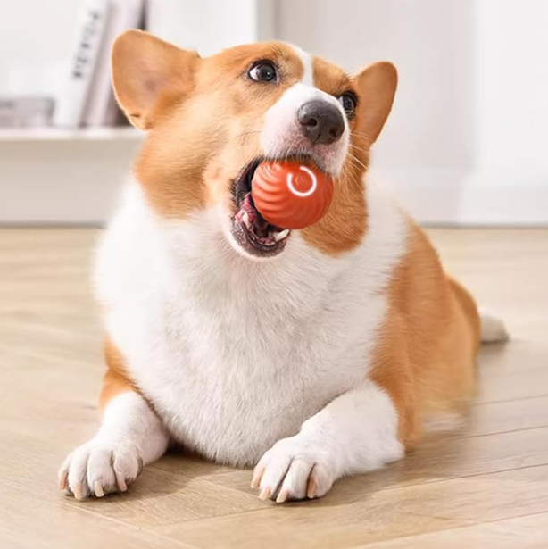 Smart Ball