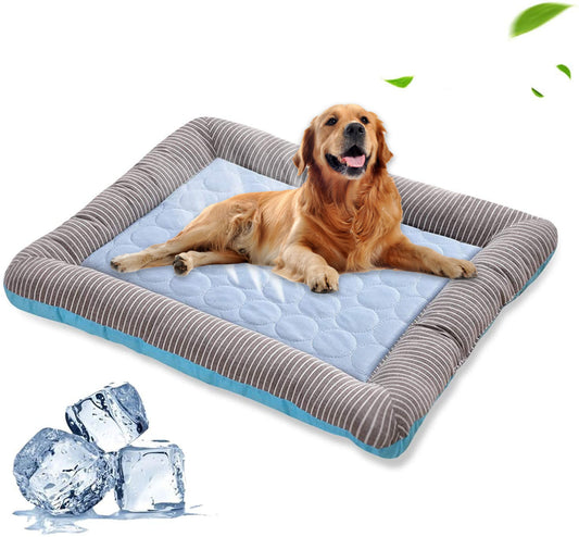 Haustier Kühlkissen Bett.