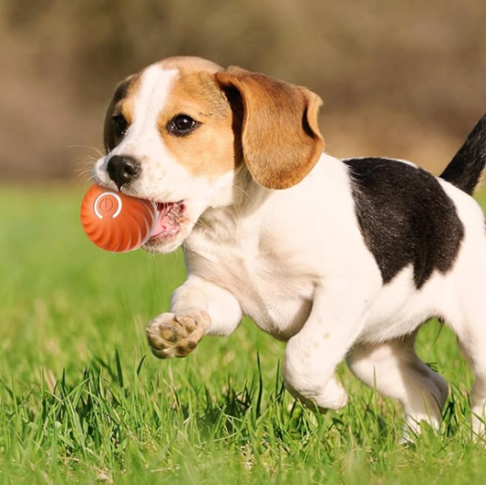 Smart Ball