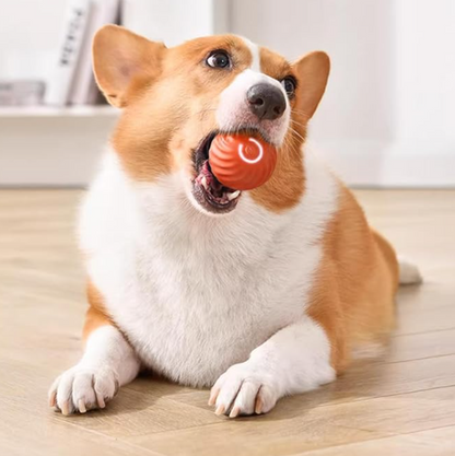 Smart Ball