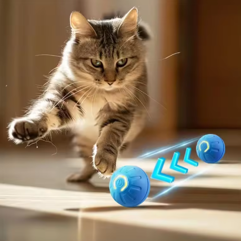 Smart Ball
