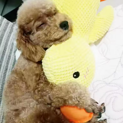 Beruhigender Plushy